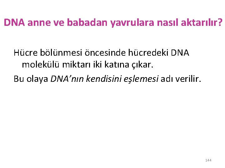 DNA anne ve babadan yavrulara nasıl aktarılır? Hücre bölünmesi öncesinde hücredeki DNA molekülü miktarı