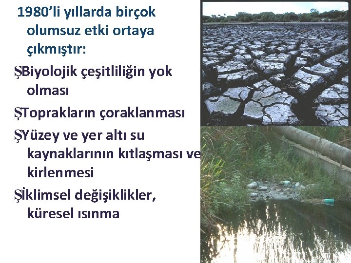 1980’li yıllarda birçok olumsuz etki ortaya çıkmıştır: ŞBiyolojik çeşitliliğin yok olması ŞToprakların çoraklanması ŞYüzey 1980’li yıllarda birçok olumsuz etki ortaya çıkmıştır: ŞBiyolojik çeşitliliğin yok olması ŞToprakların çoraklanması ŞYüzey