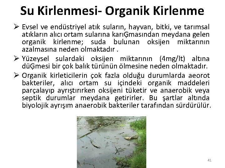 Su Kirlenmesi- Organik Kirlenme Ø Evsel ve endüstriyel atık suların, hayvan, bitki, ve tarımsal