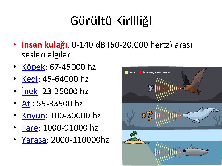 Gürültü Kirliliği • İnsan kulağı, 0 -140 d. B (60 -20. 000 hertz) arası