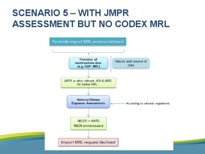 SCENARIO 5 – WITH JMPR ASSESSMENT BUT NO CODEX MRL 