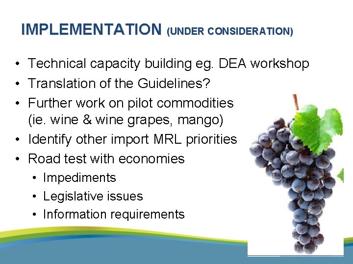 IMPLEMENTATION (UNDER CONSIDERATION) • Technical capacity building eg. DEA workshop • Translation of the