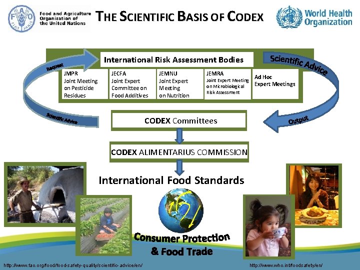 THE SCIENTIFIC BASIS OF CODEX International Risk Assessment Bodies JMPR Joint Meeting on Pesticide