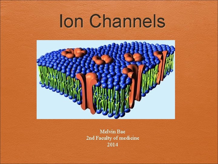 Ion Channels Melvin Bae 2 nd Faculty of medicine 2014 