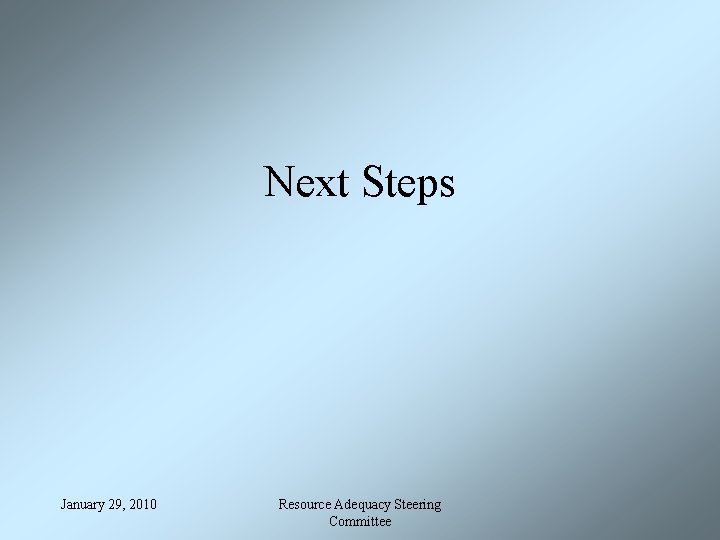Next Steps January 29, 2010 Resource Adequacy Steering Committee 