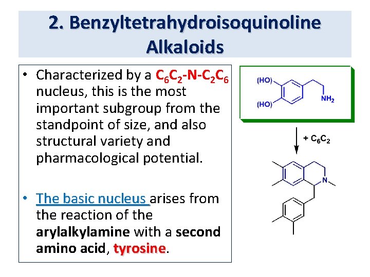 2. Benzyltetrahydroisoquinoline Alkaloids • Characterized by a C 6 C 2 -N-C 2 C