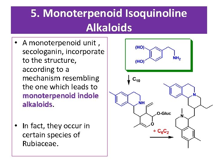 5. Monoterpenoid Isoquinoline Alkaloids • A monoterpenoid unit , secologanin, incorporate to the structure,