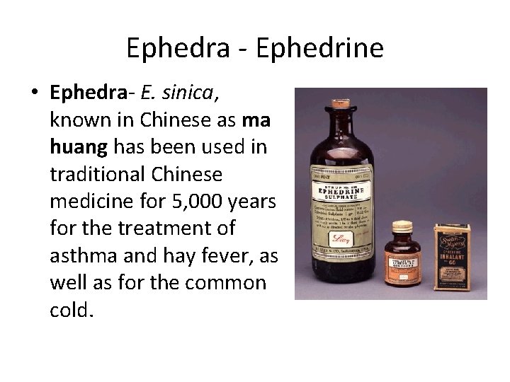 Ephedra Ephedrine • Ephedra E. sinica, known in Chinese as ma huang has been