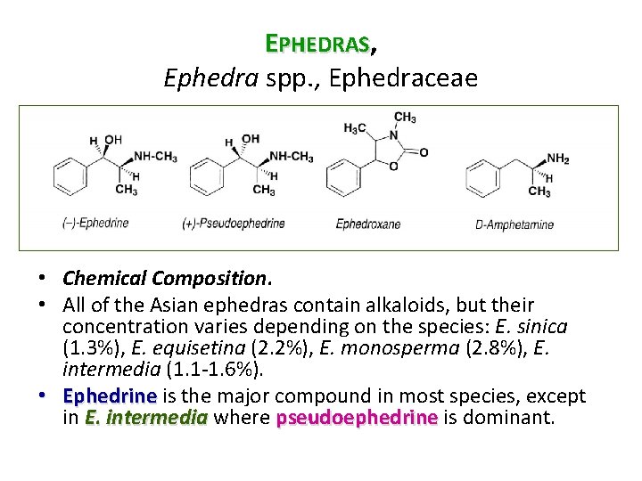 EPHEDRAS, Ephedra spp. , Ephedraceae • Chemical Composition. • All of the Asian ephedras