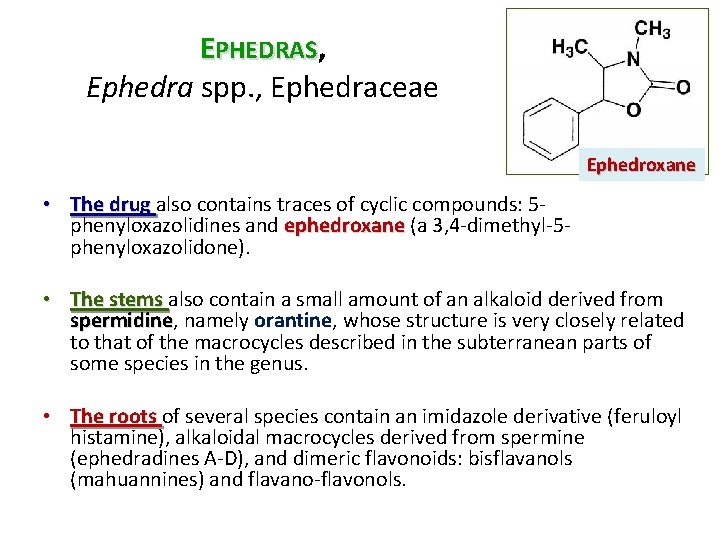 EPHEDRAS, Ephedra spp. , Ephedraceae Ephedroxane • The drug also contains traces of cyclic