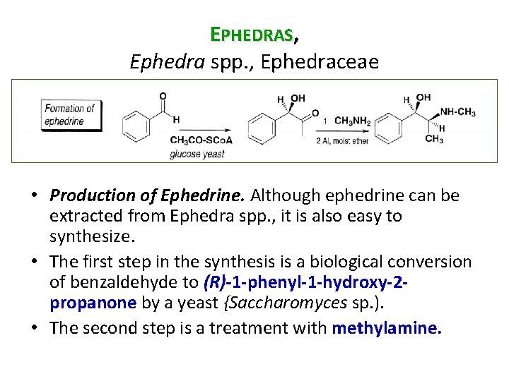 EPHEDRAS, Ephedra spp. , Ephedraceae • Production of Ephedrine. Although ephedrine can be extracted
