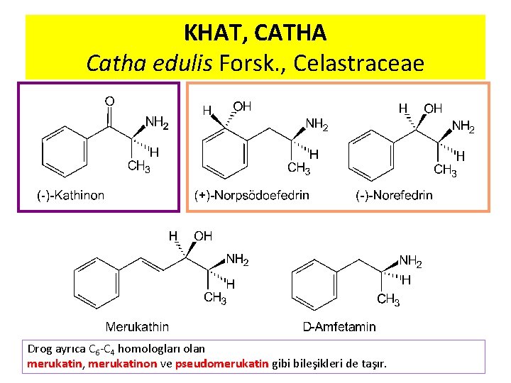 KHAT, CATHA Catha edulis Forsk. , Celastraceae Drog ayrıca C 6 C 4 homologları