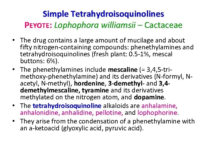 Simple Tetrahydroisoquinolines PEYOTE: Lophophora williamsii – Cactaceae • The drug contains a large amount