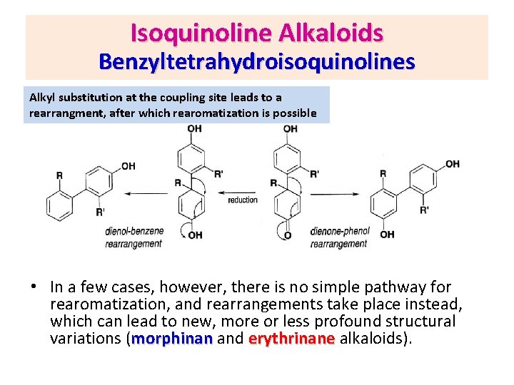 Isoquinoline Alkaloids Benzyltetrahydroisoquinolines Alkyl substitution at the coupling site leads to a rearrangment, after