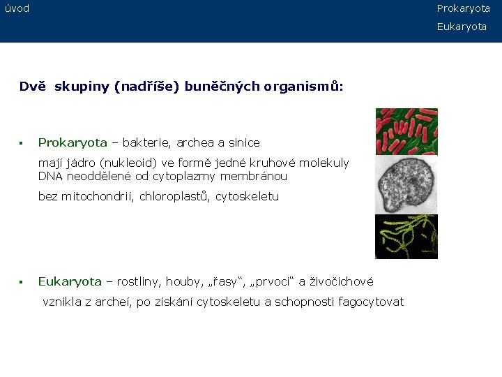 úvod Prokaryota Eukaryota Dvě skupiny (nadříše) buněčných organismů: § Prokaryota – bakterie, archea a