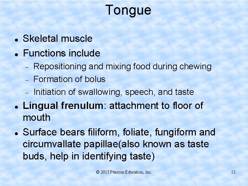 Tongue Skeletal muscle Functions include Repositioning and mixing food during chewing Formation of bolus
