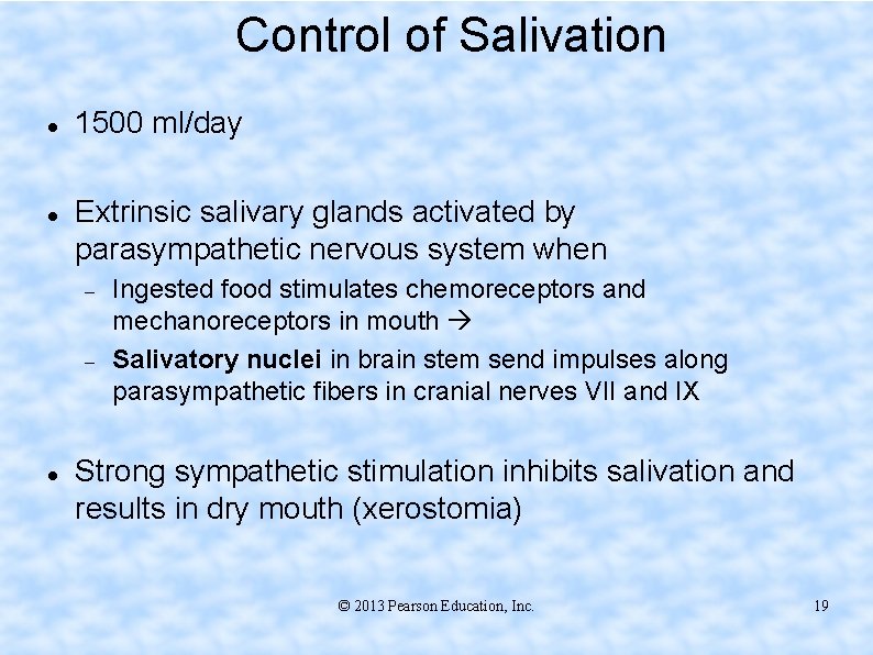 Control of Salivation 1500 ml/day Extrinsic salivary glands activated by parasympathetic nervous system when