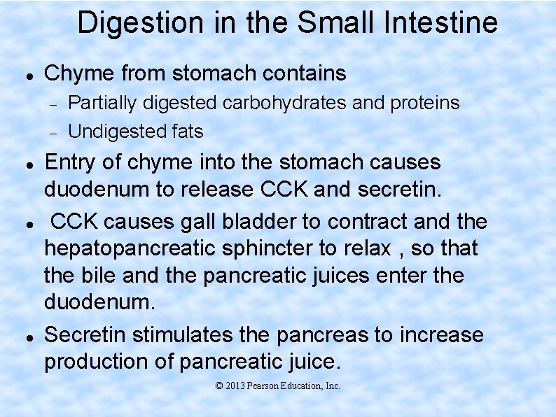 Digestion in the Small Intestine Chyme from stomach contains Partially digested carbohydrates and proteins