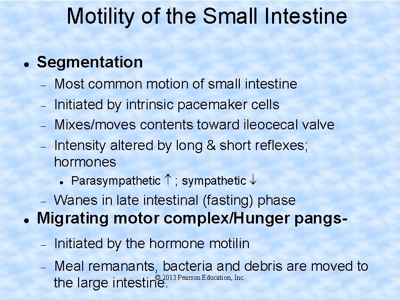 Motility of the Small Intestine Segmentation Most common motion of small intestine Initiated by