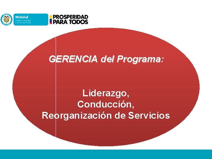 GERENCIA del Programa: Programa Liderazgo, Conducción, Reorganización de Servicios 