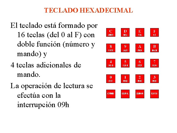 TECLADO HEXADECIMAL El teclado está formado por 16 teclas (del 0 al F) con TECLADO HEXADECIMAL El teclado está formado por 16 teclas (del 0 al F) con