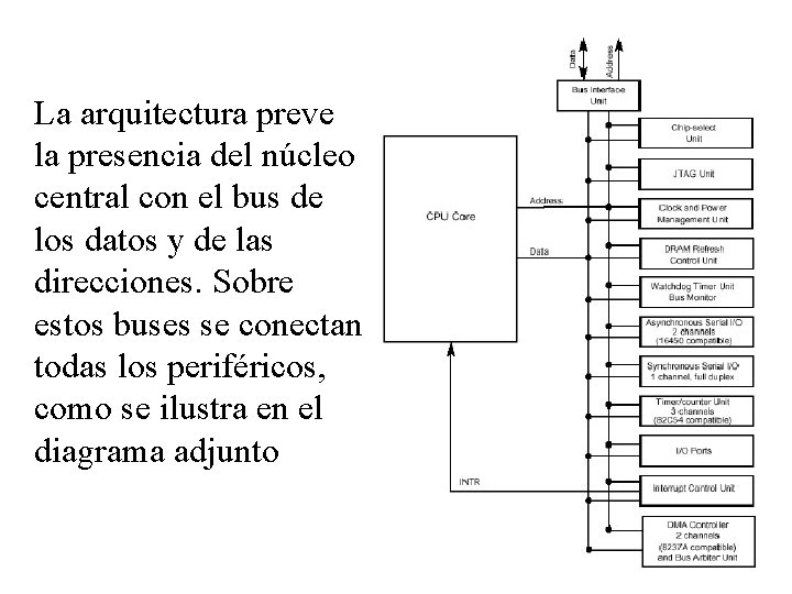 La arquitectura preve la presencia del núcleo central con el bus de los datos La arquitectura preve la presencia del núcleo central con el bus de los datos
