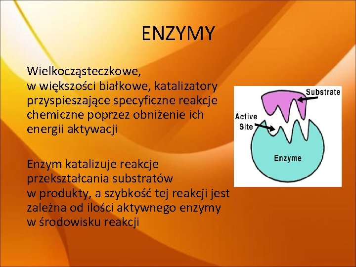 ENZYMY Wielkocząsteczkowe, w większości białkowe, katalizatory przyspieszające specyficzne reakcje chemiczne poprzez obniżenie ich energii ENZYMY Wielkocząsteczkowe, w większości białkowe, katalizatory przyspieszające specyficzne reakcje chemiczne poprzez obniżenie ich energii