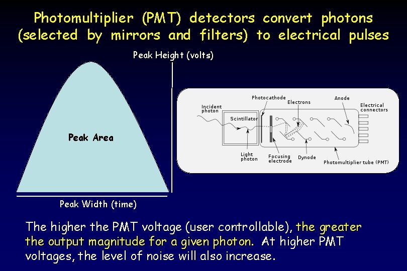 Photomultiplier (PMT) detectors convert photons (selected by mirrors and filters) to electrical pulses Peak