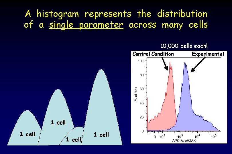 A histogram represents the distribution of a single parameter across many cells 10, 000