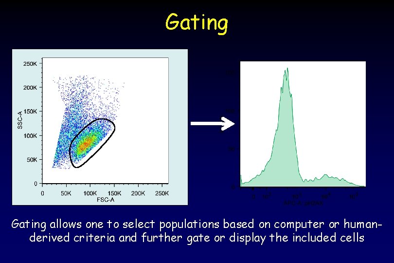 Gating allows one to select populations based on computer or humanderived criteria and further