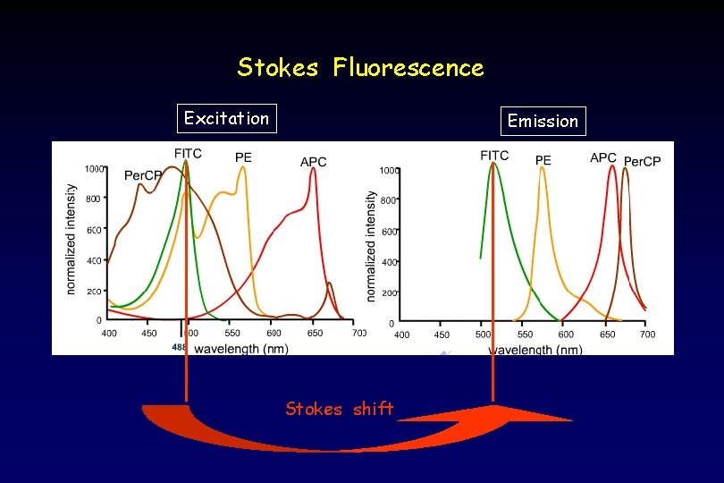 Stokes Fluorescence Excitation Emission Stokes shift 