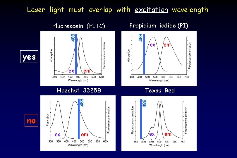 Laser light must overlap with excitation wavelength Propidium iodide (PI) 488 Fluorescein (FITC) ex