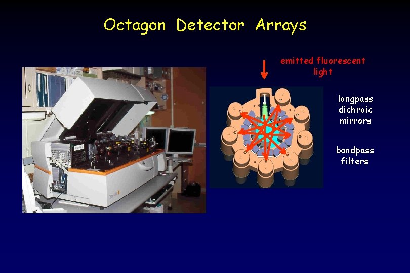 Octagon Detector Arrays emitted fluorescent light longpass dichroic mirrors bandpass filters 