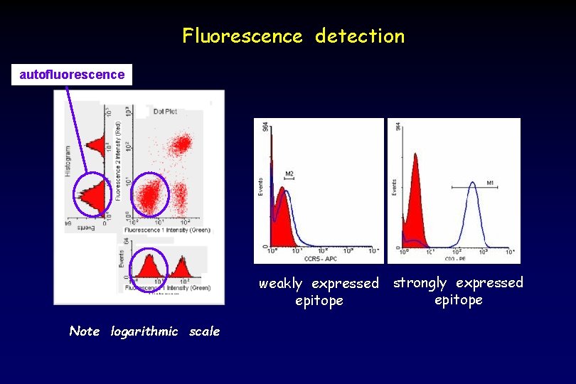 Fluorescence detection autofluorescence weakly expressed strongly expressed epitope Note logarithmic scale 