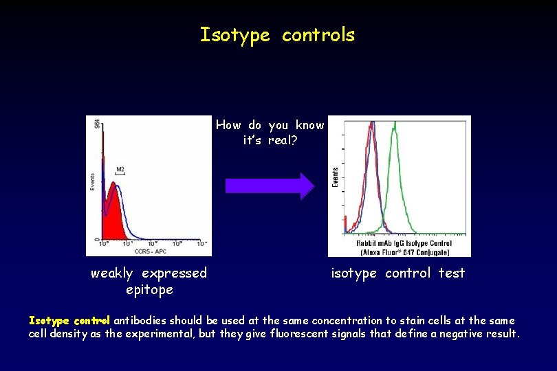 Isotype controls How do you know it’s real? weakly expressed epitope isotype control test