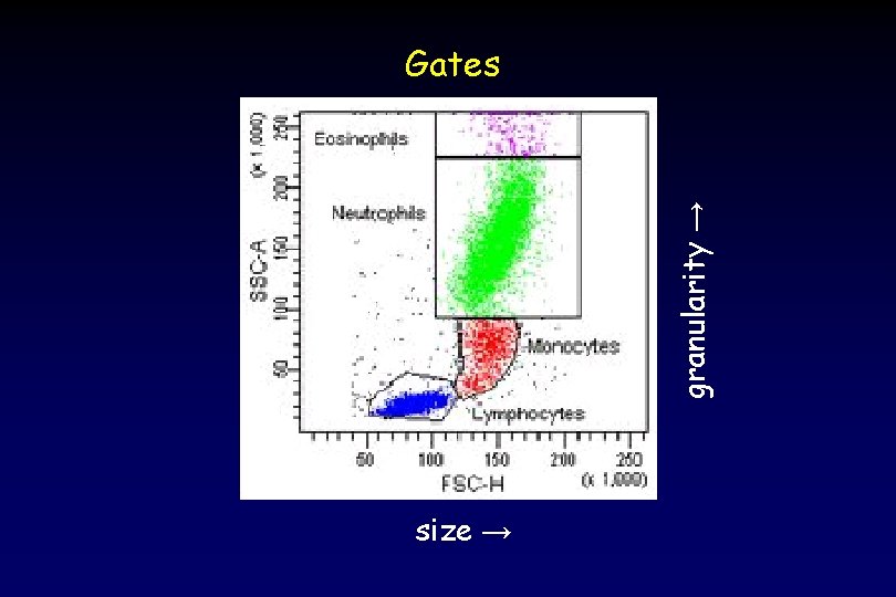 granularity → Gates size → 