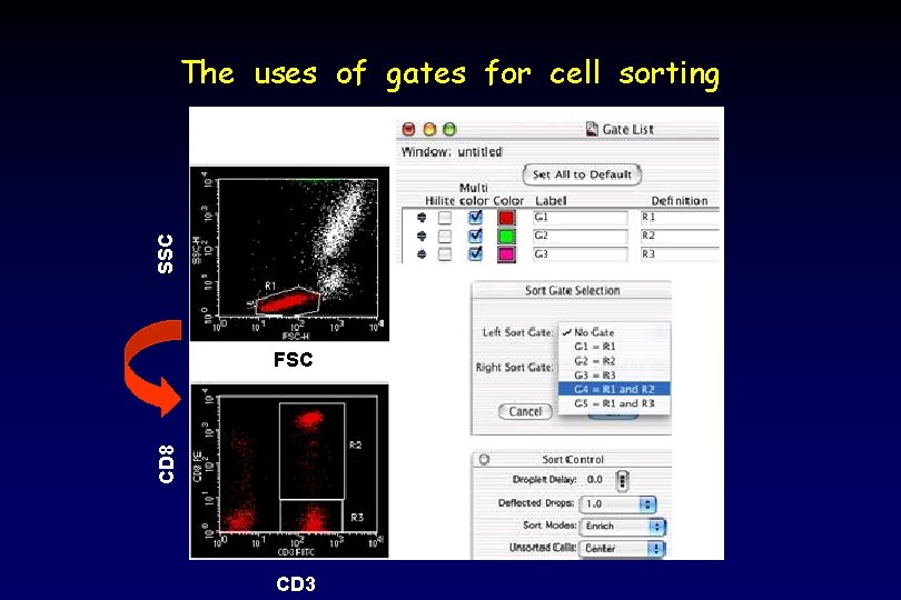 SSC The uses of gates for cell sorting CD 8 FSC CD 3 