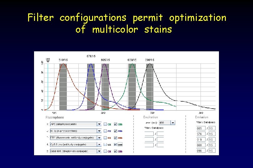 Filter configurations permit optimization of multicolor stains 