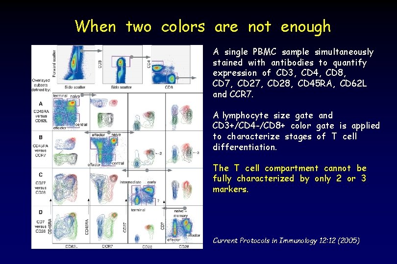 When two colors are not enough A single PBMC sample simultaneously stained with antibodies