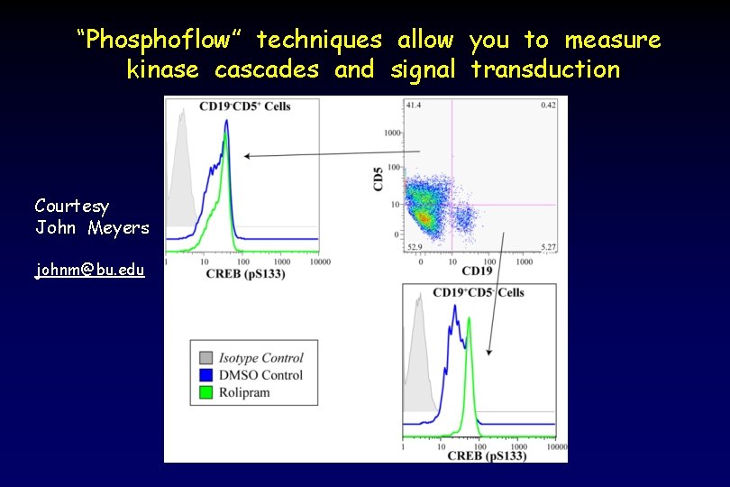 “Phosphoflow” techniques allow you to measure kinase cascades and signal transduction Courtesy John Meyers