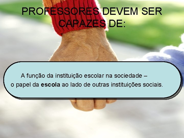 PROFESSORES DEVEM SER CAPAZES DE: A função da instituição escolar na sociedade – o