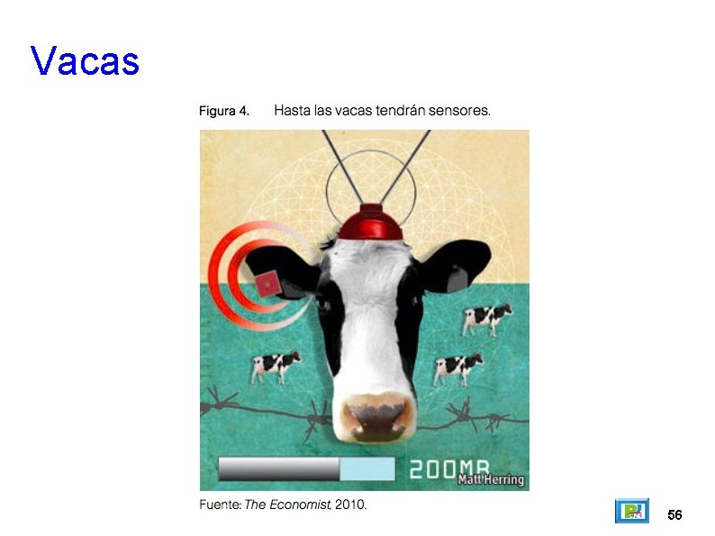 Vacas 56 