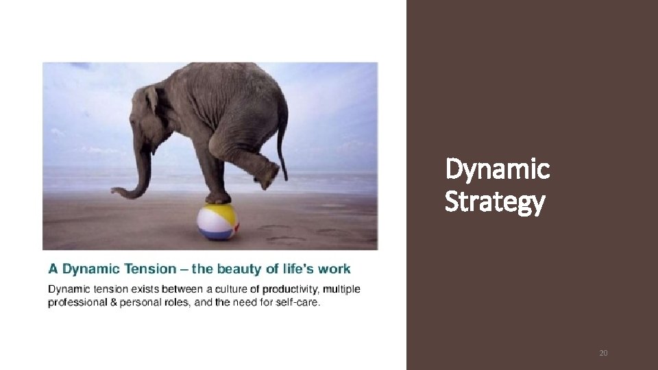 Dynamic Strategy 20 