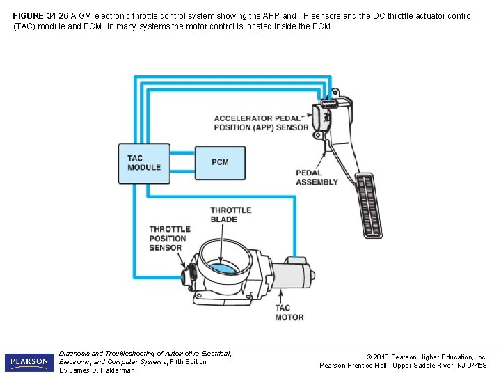 FIGURE 34 -26 A GM electronic throttle control system showing the APP and TP