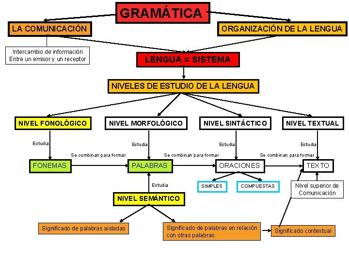 GRAMÁTICA LA COMUNICACIÓN ORGANIZACIÓN DE LA LENGUA Intercambio de información Entre un emisor y