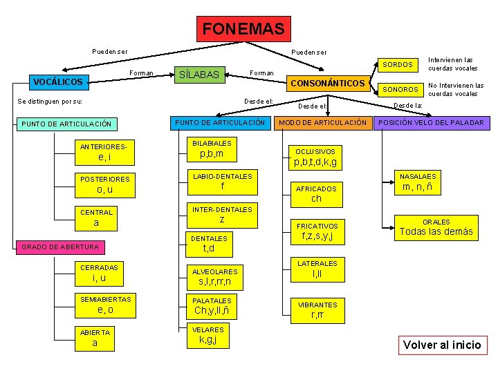 FONEMAS Pueden ser Forman VOCÁLICOS CONSONÁNTICOS Desde el: ANTERIORES- e, i POSTERIORES PUNTO DE