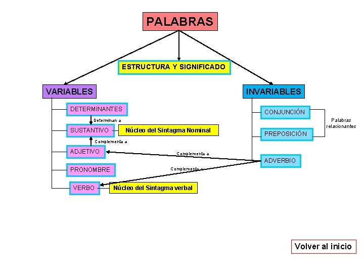 PALABRAS ESTRUCTURA Y SIGNIFICADO VARIABLES INVARIABLES DETERMINANTES CONJUNCIÓN Palabras relacionantes Determinan a SUSTANTIVO Núcleo