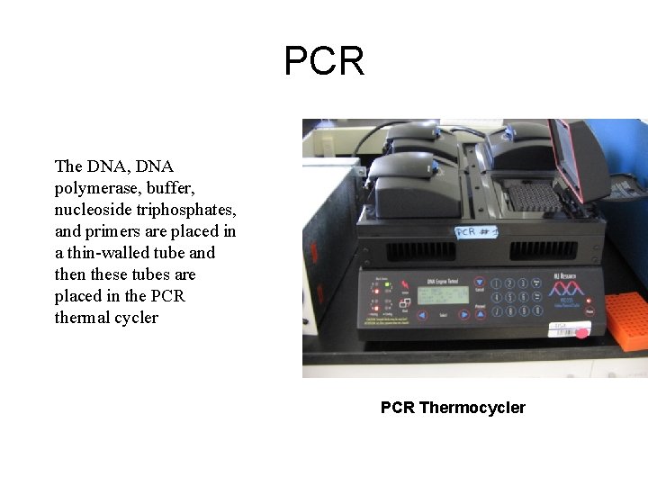 PCR The DNA, DNA polymerase, buffer, nucleoside triphosphates, and primers are placed in a