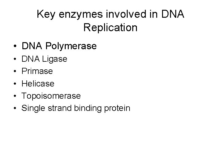 Key enzymes involved in DNA Replication • DNA Polymerase • • • DNA Ligase
