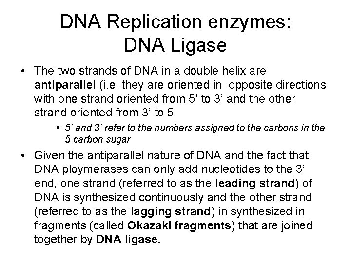 DNA Replication enzymes: DNA Ligase • The two strands of DNA in a double